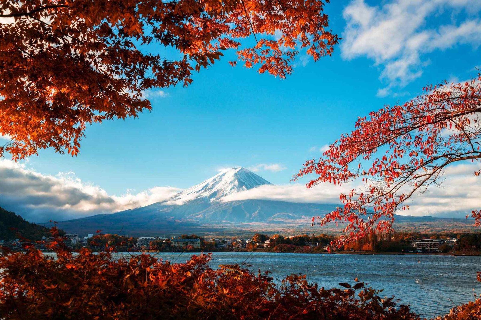 https://soymango.org/wp-content/uploads/2018/09/tour-fuji-04.jpg